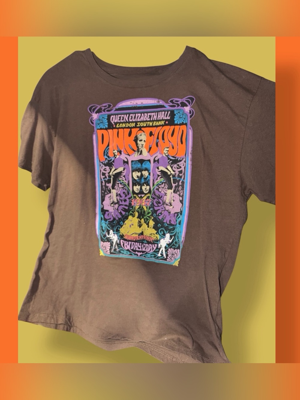 Rare Pink Floyd Brown Graphic Band Tee with Velvet Letters